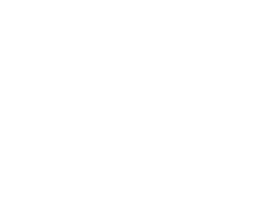 Pegasus Logo